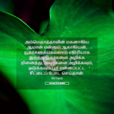 Picture 05 - எஸ்தர் 9:24 TAMIRV - அம்மெதாத்தாவின் - Bible Verse Picture