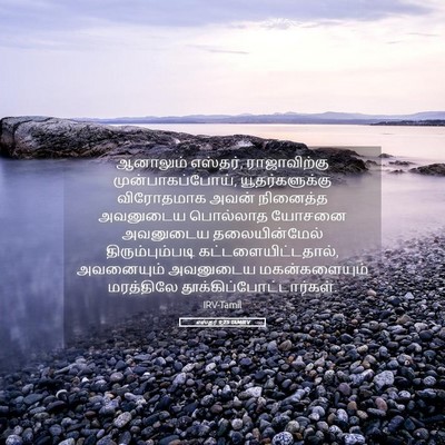 Picture 05 - எஸ்தர் 9:25 TAMIRV - ஆனாலும் எஸ்தர், - Bible Verse Picture