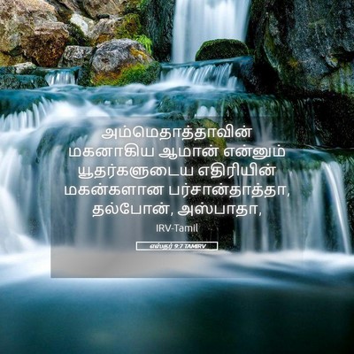 Picture 05 - எஸ்தர் 9:7 TAMIRV - அம்மெதாத்தாவின் - Bible Verse Picture
