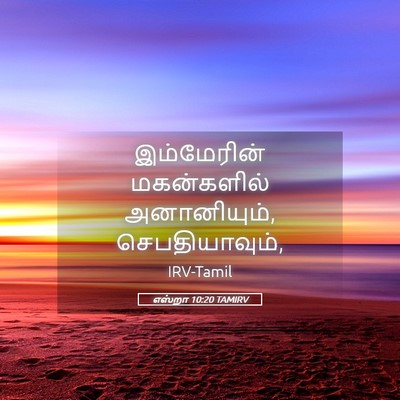 Picture 05 - எஸ்றா 10:20 TAMIRV - இம்மேரின் - Bible Verse Picture