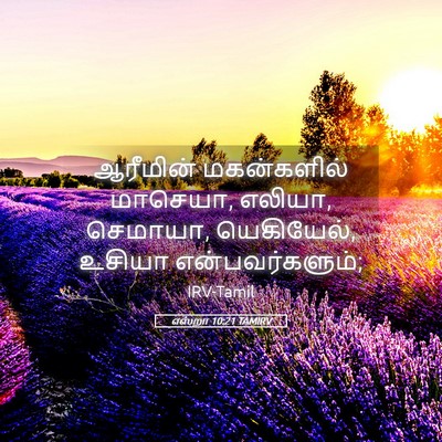 Picture 05 - எஸ்றா 10:21 TAMIRV - ஆரீமின் மகன்களில் - Bible Verse Picture