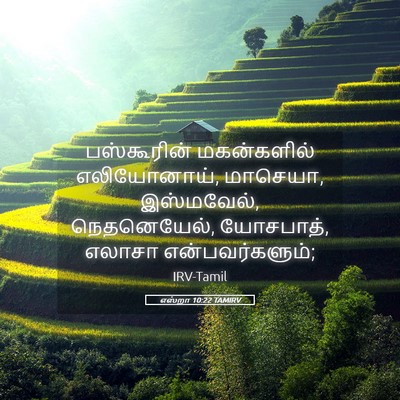 Picture 05 - எஸ்றா 10:22 TAMIRV - பஸ்கூரின் - Bible Verse Picture