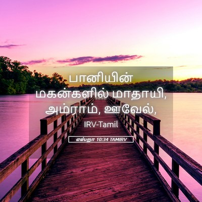 Picture 05 - எஸ்றா 10:34 TAMIRV - பானியின் - Bible Verse Picture