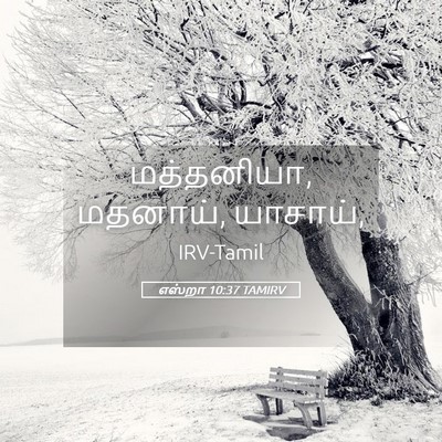 Picture 05 - எஸ்றா 10:37 TAMIRV - மத்தனியா, மதனாய், - Bible Verse Picture