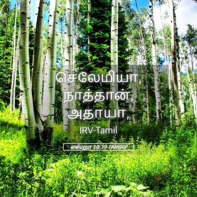 Picture 05 - எஸ்றா 10:39 TAMIRV - செலேமியா, - Bible Verse Picture