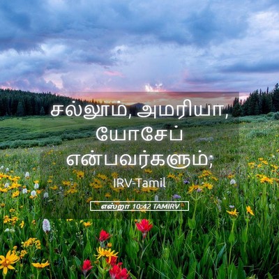 Picture 05 - எஸ்றா 10:42 TAMIRV - சல்லூம், அமரியா, - Bible Verse Picture