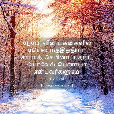 Picture 05 - எஸ்றா 10:43 TAMIRV - நேபோவின் - Bible Verse Picture