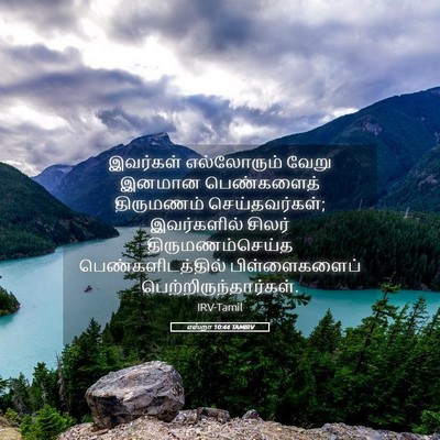 Picture 05 - எஸ்றா 10:44 TAMIRV - இவர்கள் எல்லோரும் - Bible Verse Picture