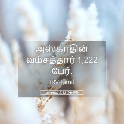 Picture 05 - எஸ்றா 2:12 TAMIRV - அஸ்காதின் - Bible Verse Picture