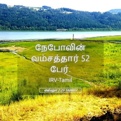 Picture 05 - எஸ்றா 2:29 TAMIRV - நேபோவின் - Bible Verse Picture