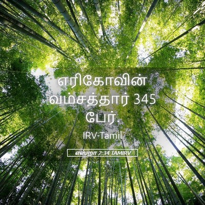 Picture 05 - எஸ்றா 2:34 TAMIRV - எரிகோவின் - Bible Verse Picture
