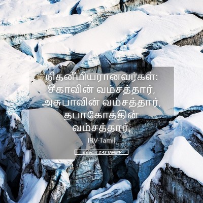 Picture 05 - எஸ்றா 2:43 TAMIRV -  - Bible Verse Picture