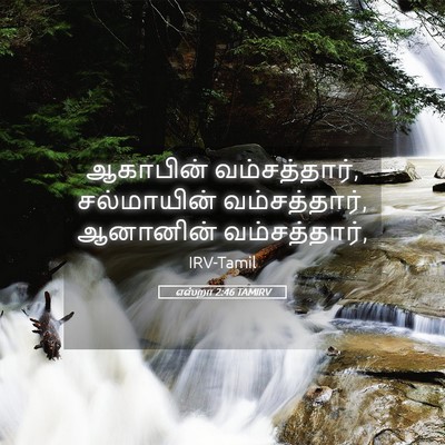 Picture 05 - எஸ்றா 2:46 TAMIRV - ஆகாபின் - Bible Verse Picture