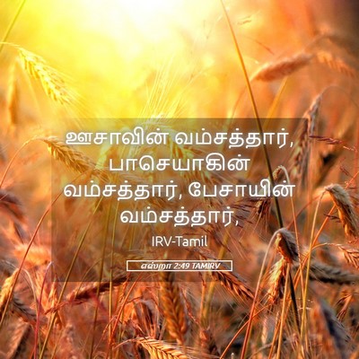 Picture 05 - எஸ்றா 2:49 TAMIRV - ஊசாவின் - Bible Verse Picture