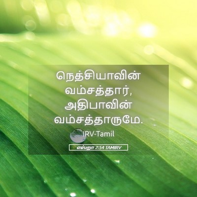 Picture 05 - எஸ்றா 2:54 TAMIRV - நெத்சியாவின் - Bible Verse Picture