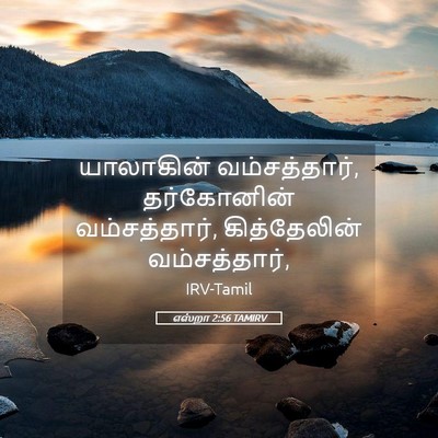 Picture 05 - எஸ்றா 2:56 TAMIRV - யாலாகின் - Bible Verse Picture