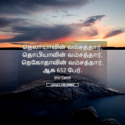 Picture 05 - எஸ்றா 2:60 TAMIRV - தெலாயாவின் - Bible Verse Picture