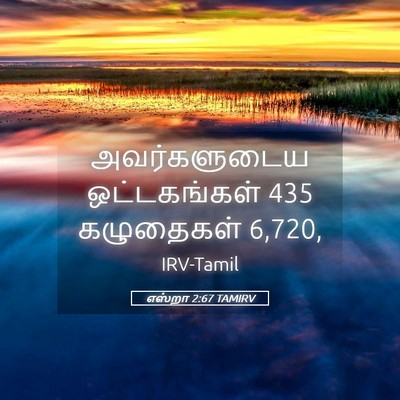 Picture 05 - எஸ்றா 2:67 TAMIRV - அவர்களுடைய - Bible Verse Picture