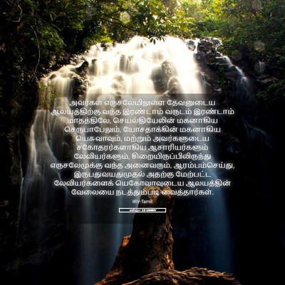 Picture 05 - எஸ்றா 3:8 TAMIRV - அவர்கள் - Bible Verse Picture