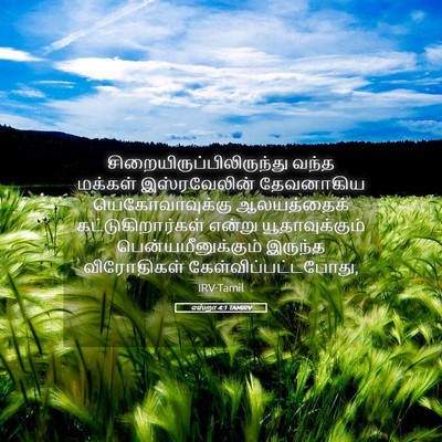 Picture 05 - எஸ்றா 4:1 TAMIRV -  - Bible Verse Picture