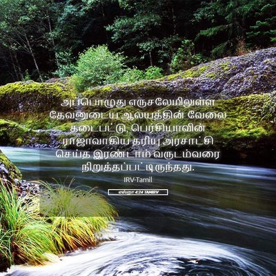 Picture 05 - எஸ்றா 4:24 TAMIRV - அப்பொழுது - Bible Verse Picture