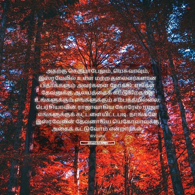 Picture 05 - எஸ்றா 4:3 TAMIRV - அதற்கு - Bible Verse Picture