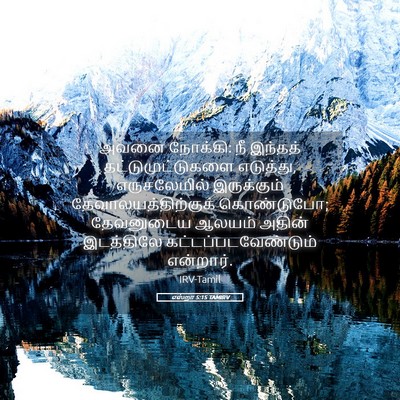 Picture 05 - எஸ்றா 5:15 TAMIRV - அவனை நோக்கி: நீ - Bible Verse Picture