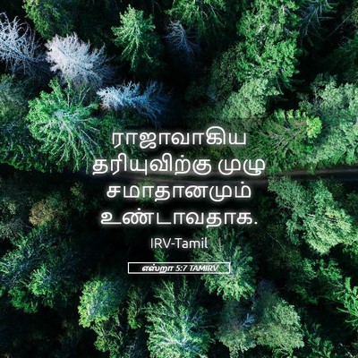 Picture 05 - எஸ்றா 5:7 TAMIRV - ராஜாவாகிய - Bible Verse Picture
