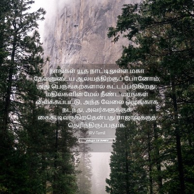 Picture 05 - எஸ்றா 5:8 TAMIRV - நாங்கள் யூத - Bible Verse Picture