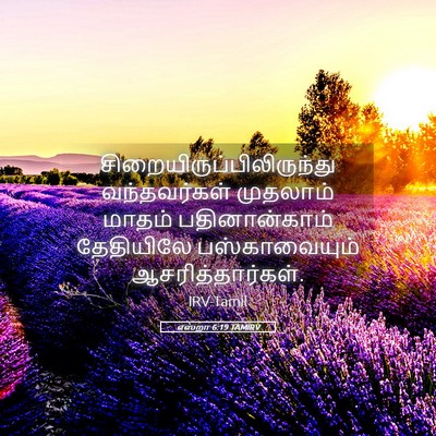 Picture 05 - எஸ்றா 6:19 TAMIRV -  - Bible Verse Picture