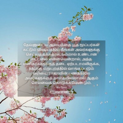 Picture 05 - எஸ்றா 6:8 TAMIRV - தேவனுடைய ஆலயத்தை - Bible Verse Picture
