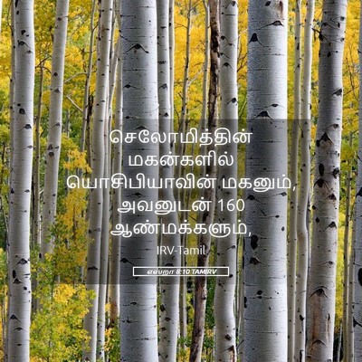 Picture 05 - எஸ்றா 8:10 TAMIRV - செலோமித்தின் - Bible Verse Picture