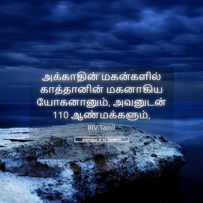 Picture 05 - எஸ்றா 8:12 TAMIRV - அக்காதின் - Bible Verse Picture