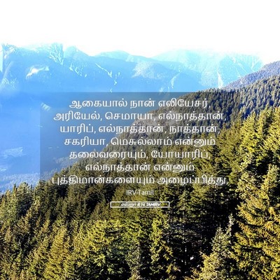 Picture 05 - எஸ்றா 8:16 TAMIRV - ஆகையால் நான் - Bible Verse Picture