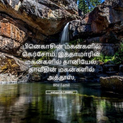Picture 05 - எஸ்றா 8:2 TAMIRV - பினெகாசின் - Bible Verse Picture