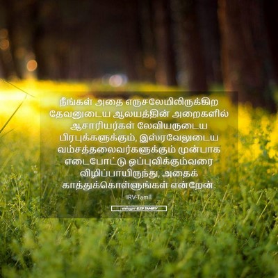 Picture 05 - எஸ்றா 8:29 TAMIRV - நீங்கள் அதை - Bible Verse Picture