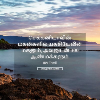 Picture 05 - எஸ்றா 8:5 TAMIRV - செக்கனியாவின் - Bible Verse Picture