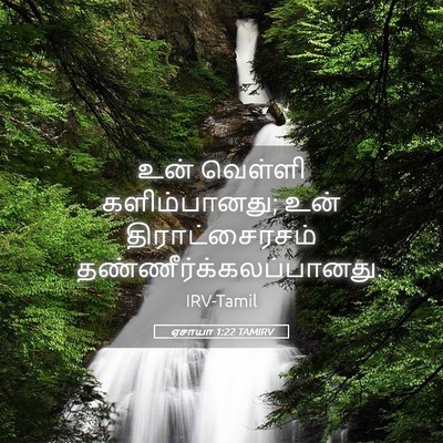 Picture 05 - ஏசாயா 1:22 TAMIRV - உன் வெள்ளி - Bible Verse Picture