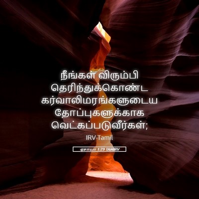 Picture 05 - ஏசாயா 1:29 TAMIRV - நீங்கள் விரும்பி - Bible Verse Picture