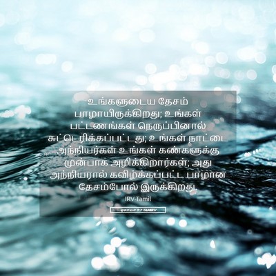 Picture 05 - ஏசாயா 1:7 TAMIRV - உங்களுடைய தேசம் - Bible Verse Picture