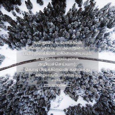 Picture 05 - ஏசாயா 10:18 TAMIRV - அவனுடைய வனத்தின் - Bible Verse Picture