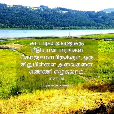 Picture 05 - ஏசாயா 10:19 TAMIRV - காட்டில் அவனுக்கு - Bible Verse Picture