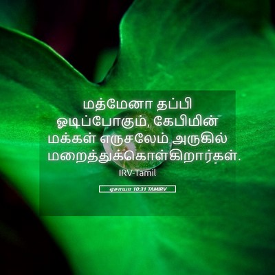 Picture 05 - ஏசாயா 10:31 TAMIRV - மத்மேனா தப்பி - Bible Verse Picture