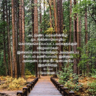 Picture 05 - ஏசாயா 10:4 TAMIRV -  - Bible Verse Picture