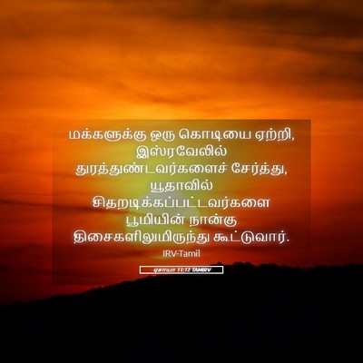 Picture 05 - ஏசாயா 11:12 TAMIRV - மக்களுக்கு ஒரு - Bible Verse Picture
