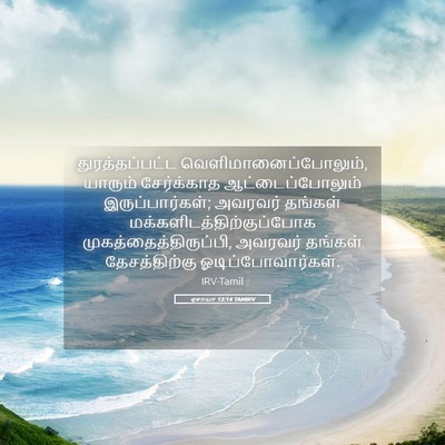 Picture 05 - ஏசாயா 13:14 TAMIRV - துரத்தப்பட்ட - Bible Verse Picture