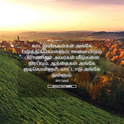 Picture 05 - ஏசாயா 13:21 TAMIRV - காட்டுமிருகங்கள் - Bible Verse Picture