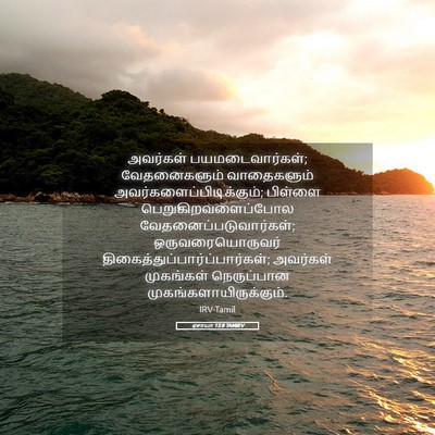 Picture 05 - ஏசாயா 13:8 TAMIRV - அவர்கள் - Bible Verse Picture