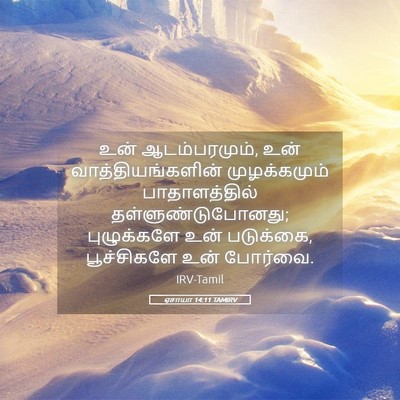 Picture 05 - ஏசாயா 14:11 TAMIRV - உன் ஆடம்பரமும், - Bible Verse Picture