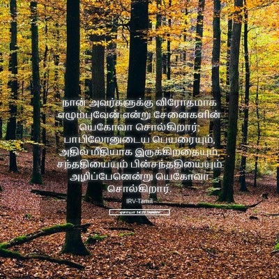 Picture 05 - ஏசாயா 14:22 TAMIRV - நான் அவர்களுக்கு - Bible Verse Picture